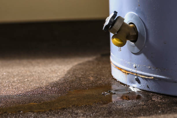 Best Water damage restoration specialists  in Lmar, DE
