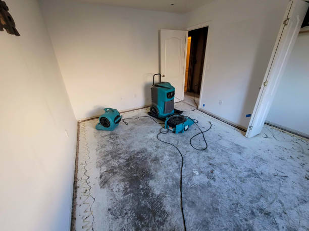 Best Professional water damage repair  in Lmar, DE