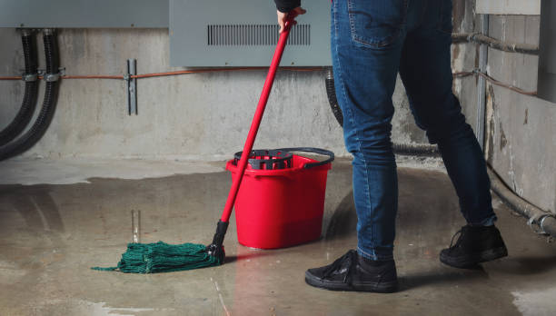 Best Basement water damage restoration  in Lmar, DE