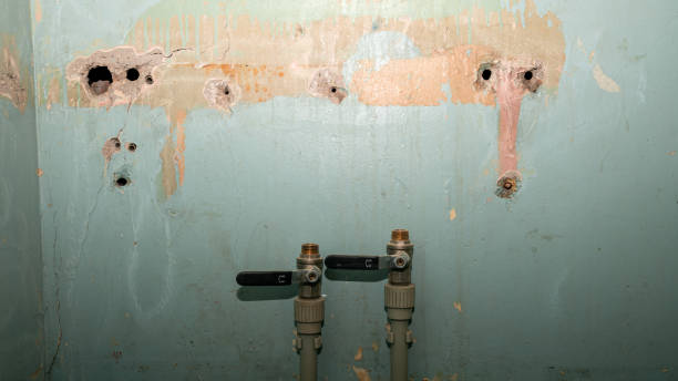 Best Water damage restoration experts  in Lmar, DE