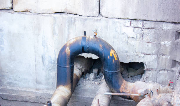 Best Flood damage cleanup  in Lmar, DE
